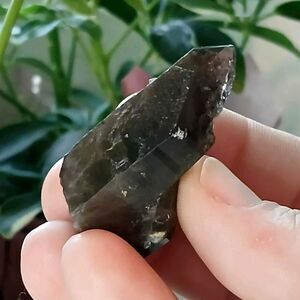 Smoky Quartz Crystal Point, Raw Gemstone, Small Home Office Garden Decor